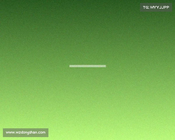 中国国家羽毛球队征战巴黎奥运会勇夺冠军辉煌征程纪实