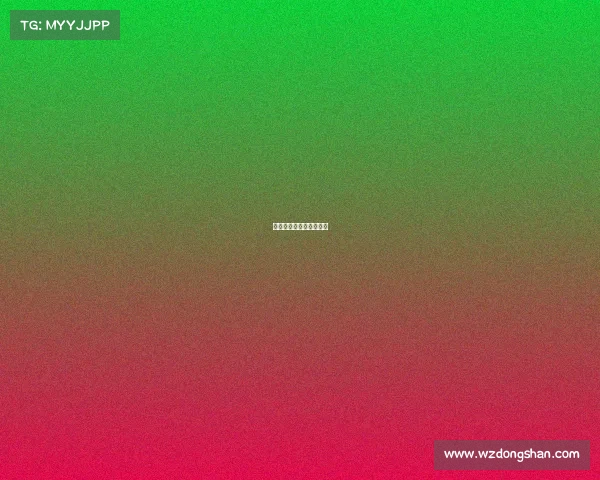 《荣光之巅：与你并肩》