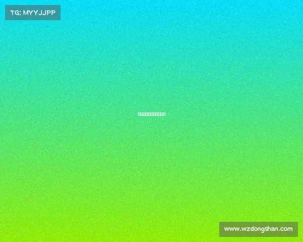 绝对零度游戏男主叫什么